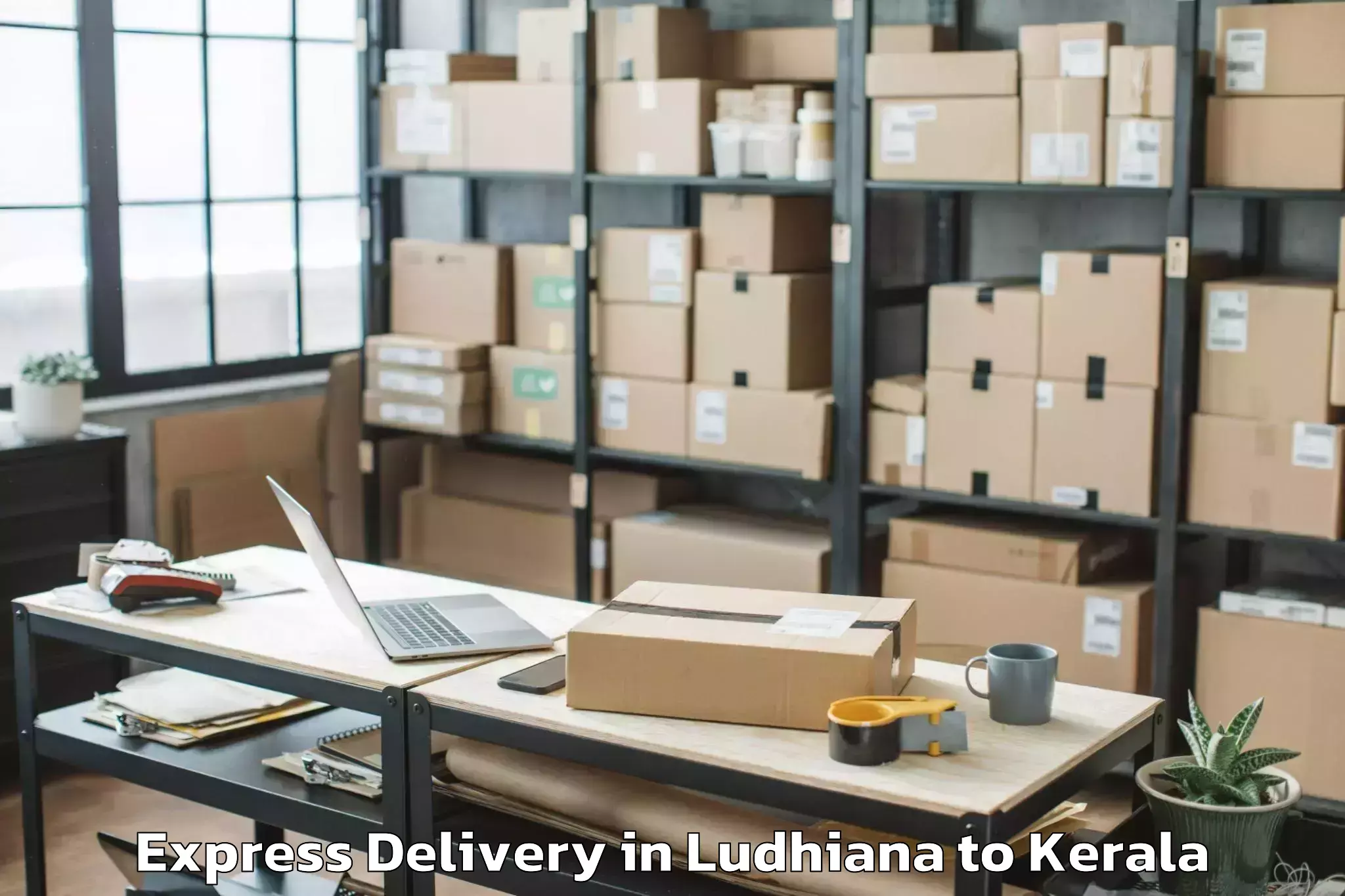 Expert Ludhiana to Pandanad Part Express Delivery